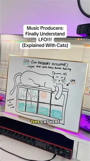 FINALLY Understand LFO and what it does!!! (Explained with Cats)
