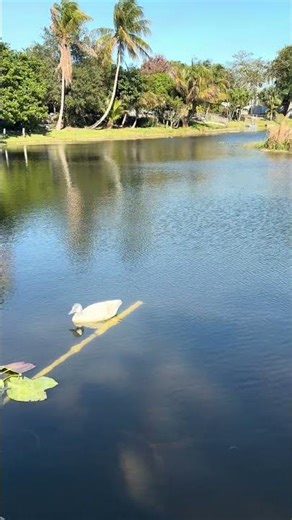 Update on dropping my GoPro into the lake