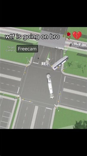 wtf is going on bro (sorry if I'm racist)