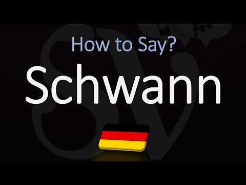 How to Pronounce Schwann? (CORRECTLY) Meaning & Pronunciation