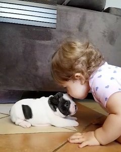 1.3M views · 20K reactions | My definition of true love @beatricedisse  #mybabygirl #kidswithdogs #frenchbulldog | jmarcoz | Facebook