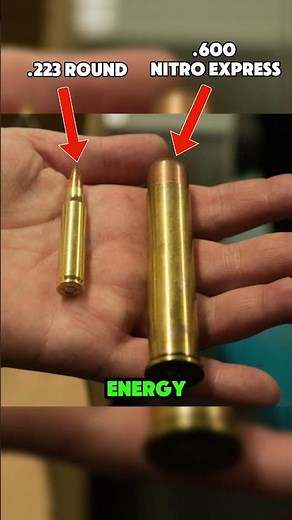 The Elephant-Stopping Revolver That Redefines Massive