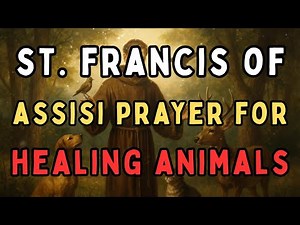 Prayer to St. Francis of Assisi for Healing Animals | Blessing for Pets & All Creatures