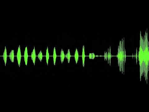 Keygen Music - TorbyTorrents - Indigo Rose Software All Products kg