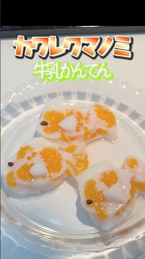 【材料４つ】混ぜて冷やすだけ！お魚牛乳寒天の作り方【カクレクマノミ】#shorts