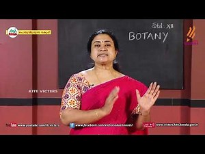 KITE VICTERS Plus two Botany Class 18 (First Bell-ഫസ്റ്റ് ബെല്‍)