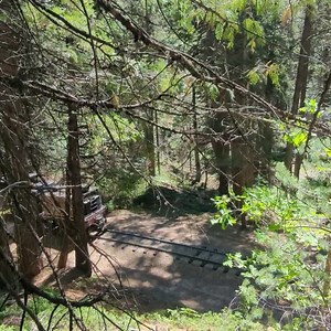 59K views · 2.2K reactions | The Logger chugs slowly ahead while conductor Will Champion lines up the switch behind the train. Once the switch is aligned with the conductor safely aboard, Will gives #15 the "highball" and up the hill they go! | Yosemite Mountain Sugar Pine Railroad | Facebook