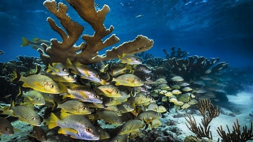 Sunscreen, clothing, and other coral reef-safe ways to protect your skin