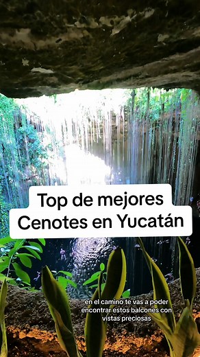 Los mejores cenotes en Yucatán