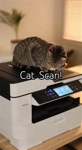 Cat Scan