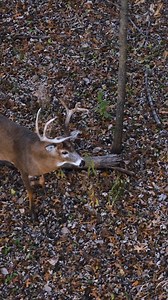 190K views · 1.7K reactions | Fall may feel far away but today is as...