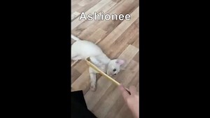 Watch Back Scratcher, Good product, easy to use. on Amazon Live