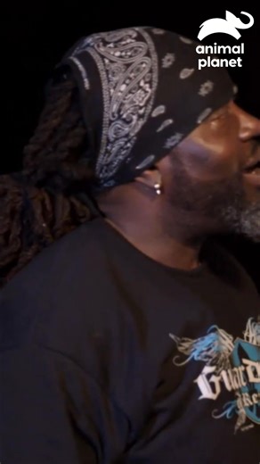 Moose dirige à noite para prestar assistência veterinária a uma senhora com seus animais. Heróis inundados: uma missão de resgate noturno salva animais em situação de emergência. 🌙 vet #ForçaTarefaAnimal Descubra mais conteúdos como este na #HBOMax Assine agora: https://bit.ly/MAX-TLCBrasil | Animal Planet Brasil