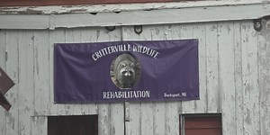 Wildlife rescuers share instructions and tips to safely rescue injured, orphaned animals