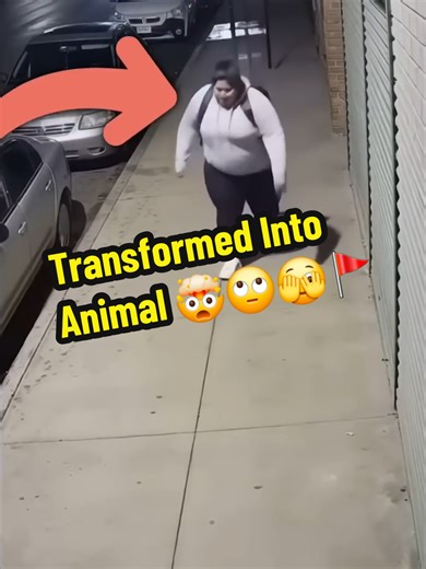 Unexpected Transformation: Woman Turns Into Pig