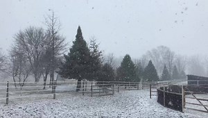 1.2K views · 135 reactions | Snow at my house! You? | Star Derry | Facebook