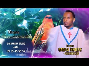 FAARFANNAA HAARAA AFAAN OROMOO 2017/2024: Gaaddisaa Naggasaa