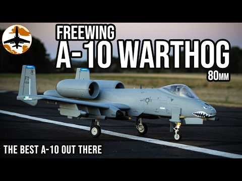 The BEST Warthog Out There - Freewing A-10 Warthog 80mm 1 Year Review