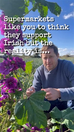 Local vegetable growers are being squeezed from all sides, so much so that many vegetable farmers in Ireland are forced to quit. Supermarkets demand lower and lower prices and present vegetables as ‘low value’ with ridiculous discounted prices (which, understandably, customers then begin to see as the norm which perpetuates the problem), and yet farming costs go up and up. It is unsustainable. Where will this leave us in the long term? Will there be no more Irish vegetables soon? This is not to 