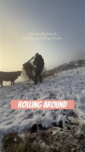 How Hill Farmers Move Haylage Without a Loader #farming