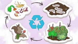 Elinor Wonders Why - Composting! Video | PBS KIDS