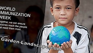 Plants: Rowan - detecting and controlling diseases and pests | 2025