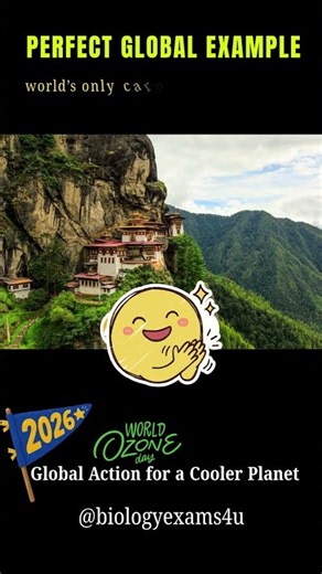 Only Carbon Negative Country! World Ozone Day 2026