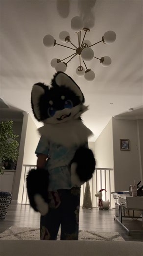 #furry #fursuit #furryfandom #fyp
