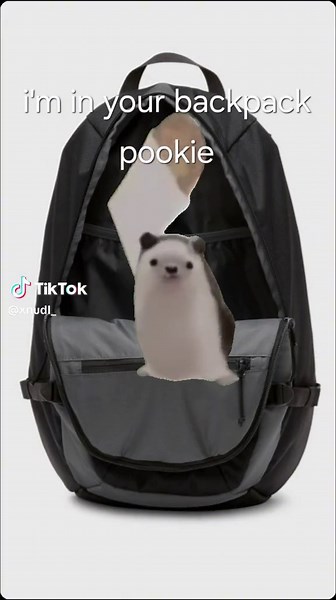 Funny Hedgehog Dancing Meme Compilation