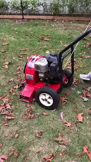 yardmachinesleafblower