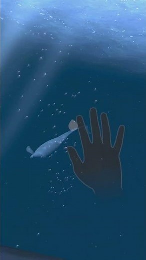 Face to Face with Sharks and Whales - Ocean Rift Mixed Reality