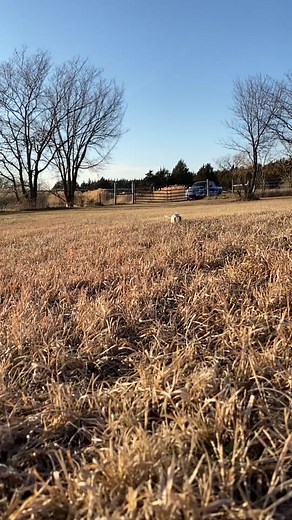Reposting Oreos slow motion video because its too darn cute. She was safe and had a great time! #rat #petrat #petrats #petratsoftiktok #rattok #ratlovers #ratmom #petratowner #petratvlog #mypetrat #ratcommunity #petratsrule #ratties #rattiesoftiktok #ratparent #mypetrats #petratsoftiktok2024 #fyp #likeandfollow #slowmotion