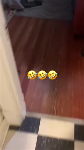 Funny Dog Voiceover Skit About Cookies