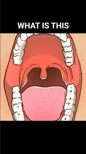 What is the purpose of UVULA