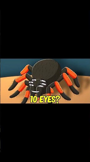 What Do You Call A Spider With 10 Eyes? | Gacha Life #Shorts