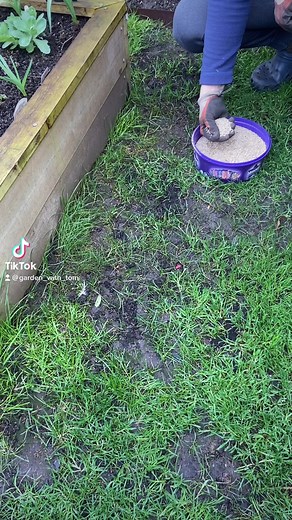 Effective Lawn Patch Repair Technique for Healthy Green Lawns