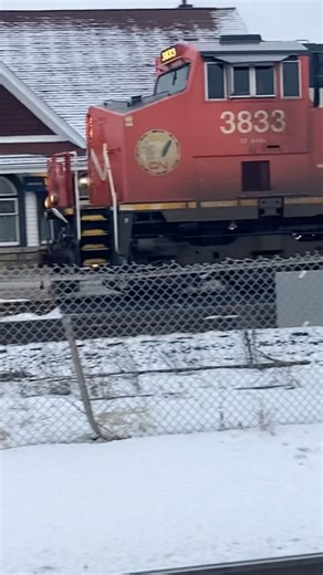 CN train with DPU