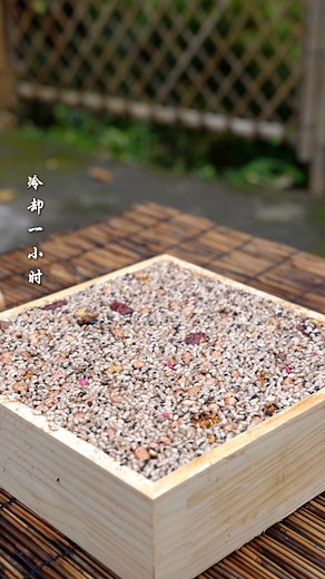 Harvest fresh hovenia dulcis and make delicious dessert | Rural Tradition