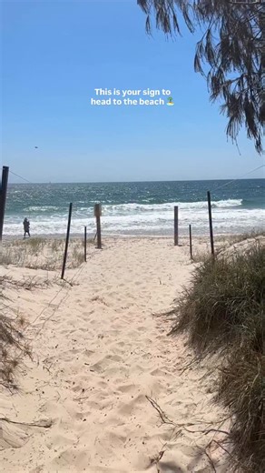 Forever dreaming of Brisbane’s beaches 🤩 Island escapes at Bribie Island to salty days on North Stradebroke Island, you’ll find us at one of Brisbane’s picturesque beaches this summer! Hit the link.in bio to find the full list of pure magic ✨🌊 [ID: A summery montage of beach scenes featuring picnics on the sand, swimming and surging, a kangaroo by the shoreline, ice cream moments and underwater shots.] | Visit Brisbane