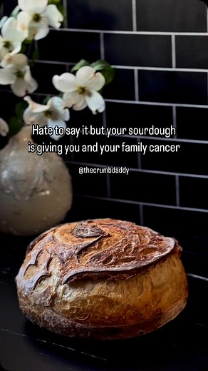 The Crumb Daddy on Instagram: "Your sourdough might be a crunchy little assassin.⁣ ⁣ Let’s talk bromated flour — aka potassium bromate — aka the chemistry teacher from hell of the baking world.⁣ ⁣ It’s added to some flours to make dough rise higher, faster, and stronger… like gluten on steroids.⁣ ⁣ Except the FDA has known for decades that this sh*t might be carcinogenic. Like, “hey we tested this on rats and they got tumors” kind of carcinogenic. But sure, let’s just bake it into some muffins a
