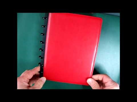 Disc-bound versus ring-bound