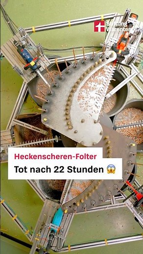 Hedge trimmer torture: Dead after 22 hours 😱 (Test hedge trimmers Stiftung Warentest)