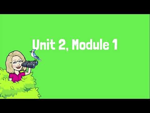 2nd Grade Bridges: U2M1S1