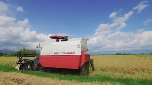 Fast and powerful, with a host of innovative features such as the acclaimed "Maru Handle" and easy one lever access to the threshing bay, the Yanmar YH700 and YH850 combines are sturdy and reliable work partners to the farmers of Southeast Asia. https://www.yanmar.com/global/agri/ See what makes them so special in this video. | Yanmar Global