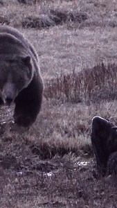 798K views · 2K reactions | Possession is everything. There’s that...