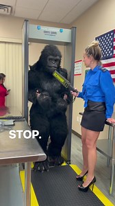 Things you see in an airport!😂#travel #tsa #pranks #humor #comedy | Our Life is Magic