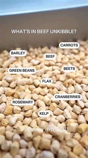 Spot & Tango on Instagram: "Fresh, real, whole ingredients on the way to your dog’s bowl! 🥣✨ Have questions about Beef UnKibble? Let us know in the comments! 👇⁠ ⁠ #asmr #foodasmr #oddlysatisfying #satisfying #dogsofinstagram #dogparent⁠ #freshdogfood #freshfood #foodfordogs #dognutrition #dogmom #dogdad #dogperson #doglover⁠ asmr, foodasmr, satisfying, dog food, fresh dog food"