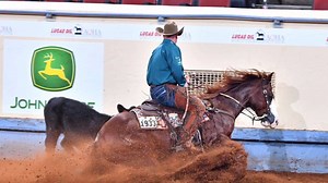 8.1K views · 172 reactions | Yes, the crowd loves him, but the judges do, too. Thecrowdlovesme scored his third AQHA world championship, this time in senior working cow horse with trainer Corey Cushing in the saddle. aqha.com/shows/world-show/2018/working-orders-and-results/open-western/sr-cow-horse-level-3/ @2018 Lucas Oil AQHA World Championship Show #GetThatGlobe #AQHAWorldShow Lucas Oil | American Quarter Horse Association | Facebook