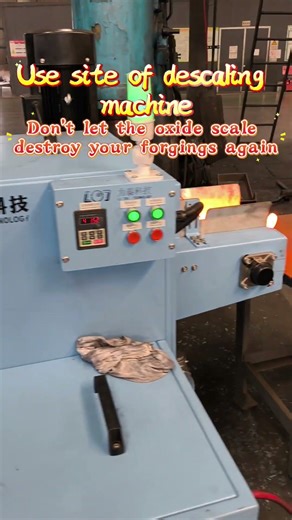 #descalingmachine #machine #factory #automation