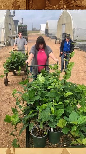 We are gearing up for OPEN HOUSE on Friday & Saturday and you're invited! #thebrookwoodcommuity #supportadultswithdisabilities | The Brookwood Community